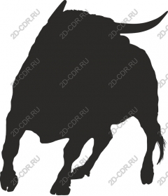 Bull