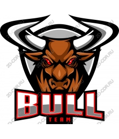  Team logo Fierce Bull