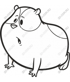  Chubby hamster