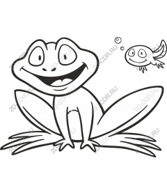 A whimsical frog and fish