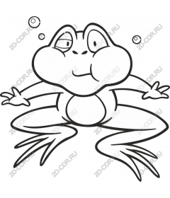  A playful frog