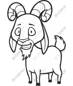  Fancy goat