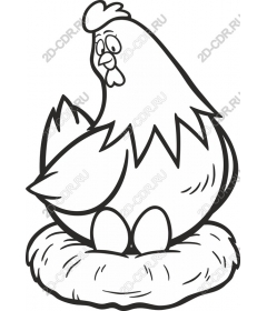  Charming hen on the nest