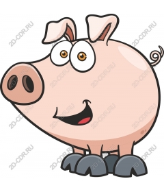 Funny cartoon pig