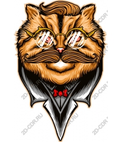  Dapper cat