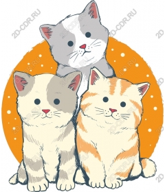  Sweet trio of cats