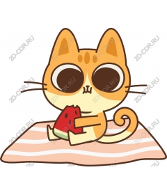  Adorable cat and watermelon