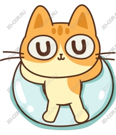  Cute cat floating in rubber ring