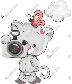 Playful kitty with camera