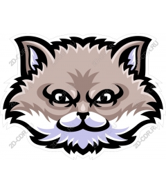  Stylized cat face