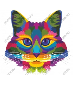  Bright face cats