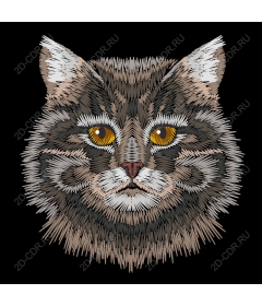  Portrait of a wild cat with a mustache