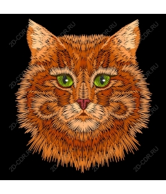  Bright orange striped cat