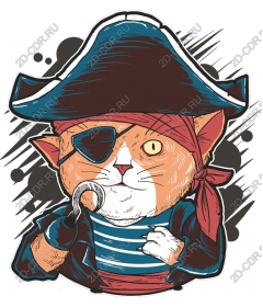 Pirate Cat