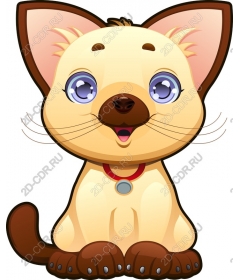  Cute cartoon cat
