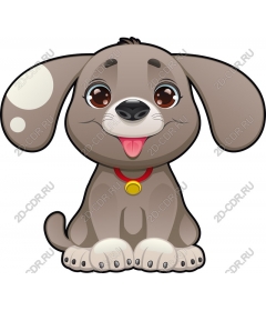  Cute puppy