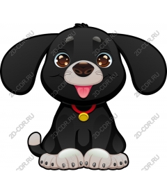  Adorable black puppy