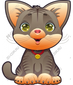  Cartoon cat