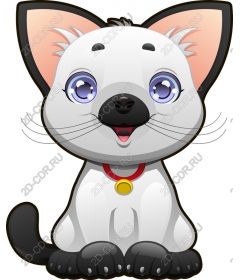  Cute cartoon cat