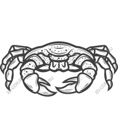  Crab
