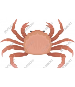  Crab - Premium