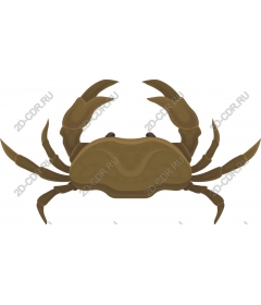  Crab