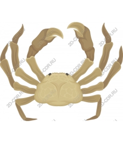  Crab