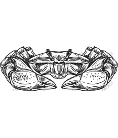 Intricate crab