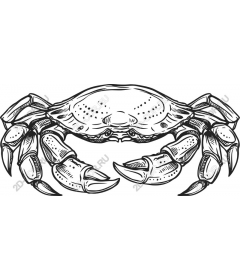 Vintage crab
