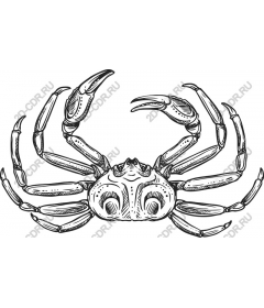 Vintage crab