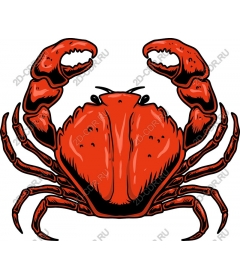  Bright red crab