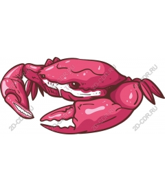 Яркий розовый краб