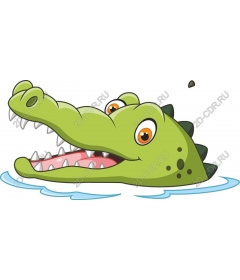  Charming crocodile