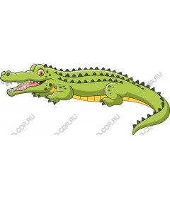  Colorful cartoon crocodile