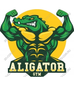 Спортзал Аллигатор