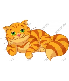 Playful ginger tabby cat
