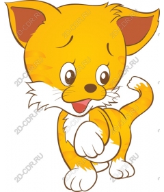 Playful orange cat