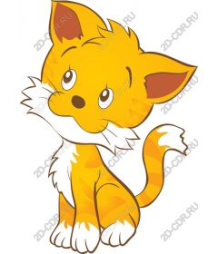  Cute orange kitten