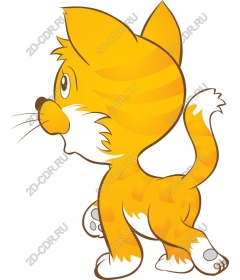  Adorable orange kitten