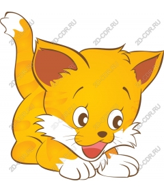 Playful orange kitten