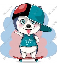  Fashionable dog breed husky