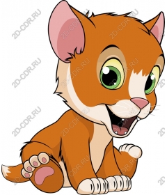 Playful kitten