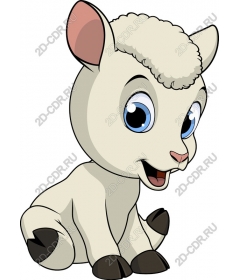  Cute playful lamb