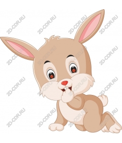  Cute Bunny