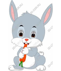  Sunny Bunny