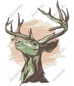 The majestic deer