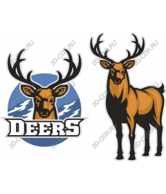  Set of deer