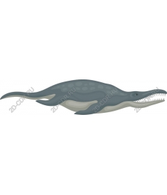  Plesiosaur