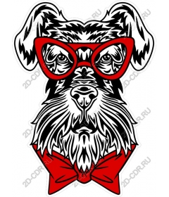  Charming Schnauzer