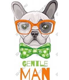  The dog is a gentleman